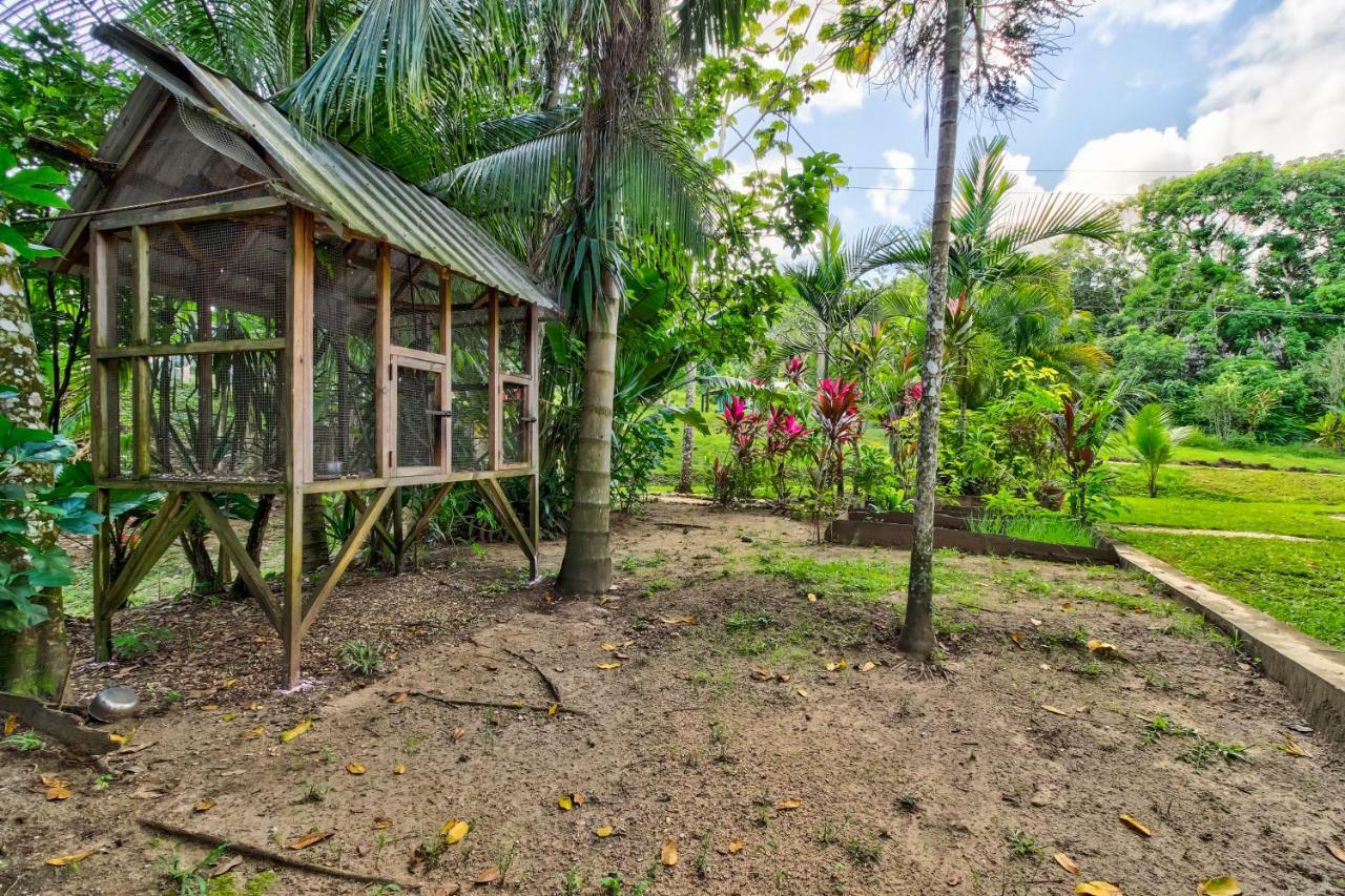 Mahogany Hall San Ignacio Exteriér fotografie